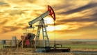 النفط يهبط مع استمرار محادثات وقف إطلاق النار