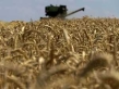 توقعات بتراجع قوي لصادرات أوكرانيا من القمح والذرة