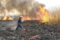 حريق مزارع قمح وخيار في ام البساتين بناعور