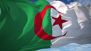 مليون جزائري بالخارج يصوتون بالانتخابات التشريعية
