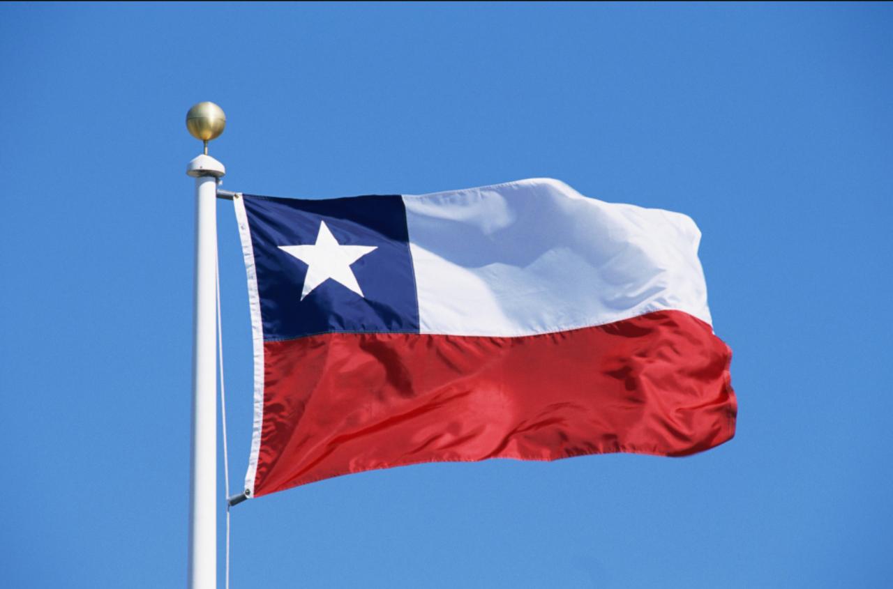 تشيلي تنتخب رئيسا وبرلمانا جديدين 