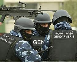 القبض على مطلوب خطير متهم بتأليف «جمعيات الأشرار» و46 أسبقية في عمّان