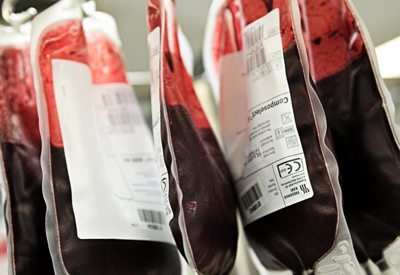 481 وحدة دم حصيلة حملة التبرع بالدم بجامعة آل البيت.