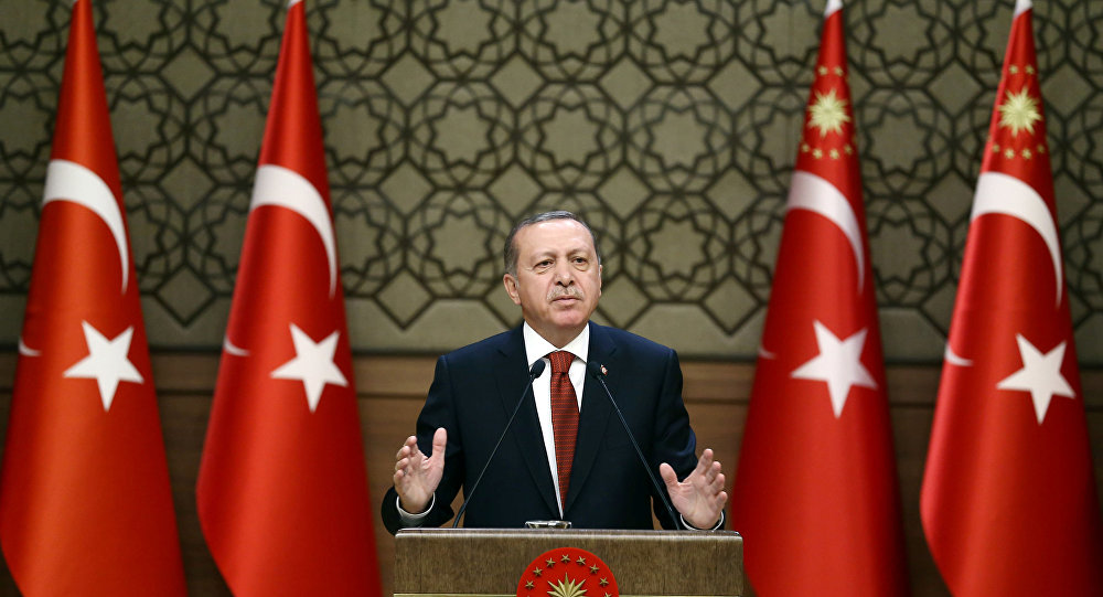 اردوغان يندد بـحرب اقتصادية على بلاده