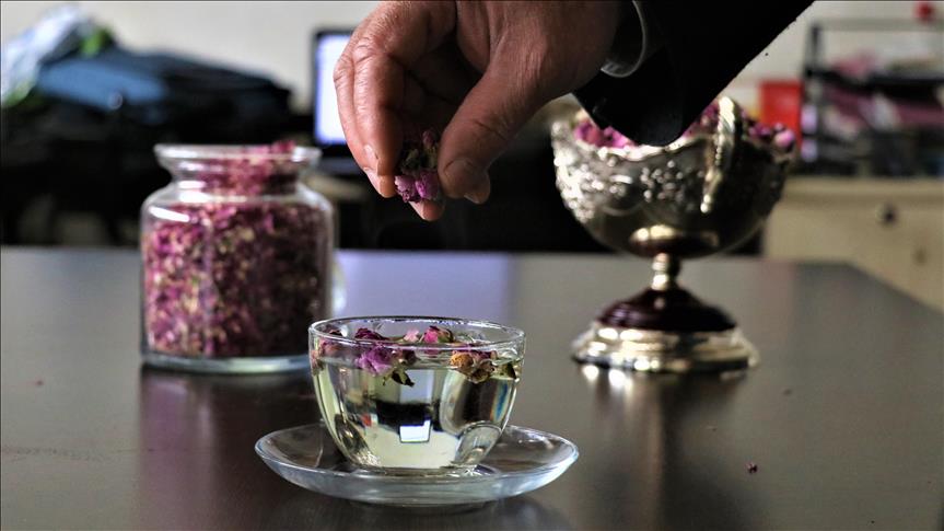 شاي الورد التركي في طريقه إلى العالمية