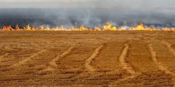 كوادر الدفاع المدني تخمد حريقا اندلع في اراض زراعية في اربد