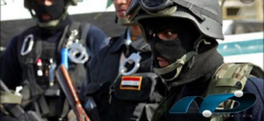 الأمن المصري  : القبض على عصابة سرقة اردنية في مصر