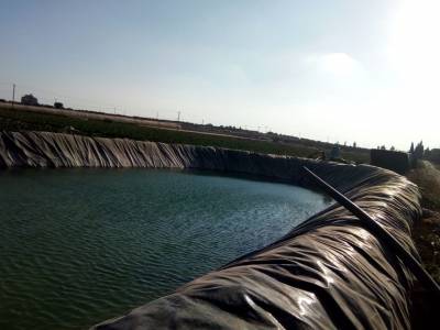 الخصاونة: الاعتداء على خطوط المياه كبد اليرموك كلفا مالية باهظة