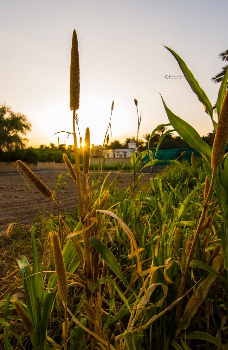 ارتفاع آخر على درجات الحرارة ليوم الخميس