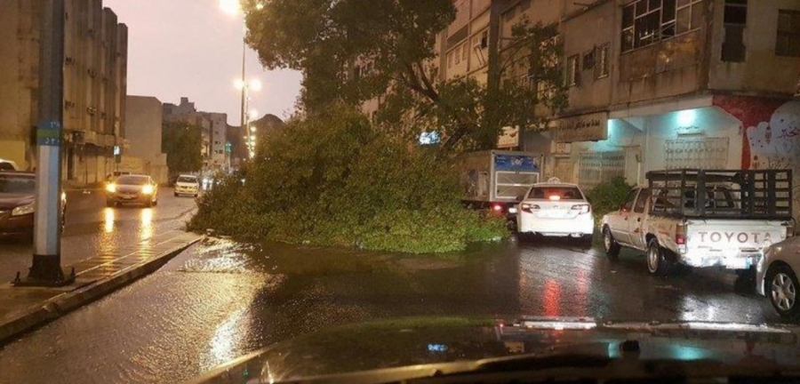 الأمطار الغزيرة تتسبب في سقوط شجرة بأحد شوارع مكة... صور
