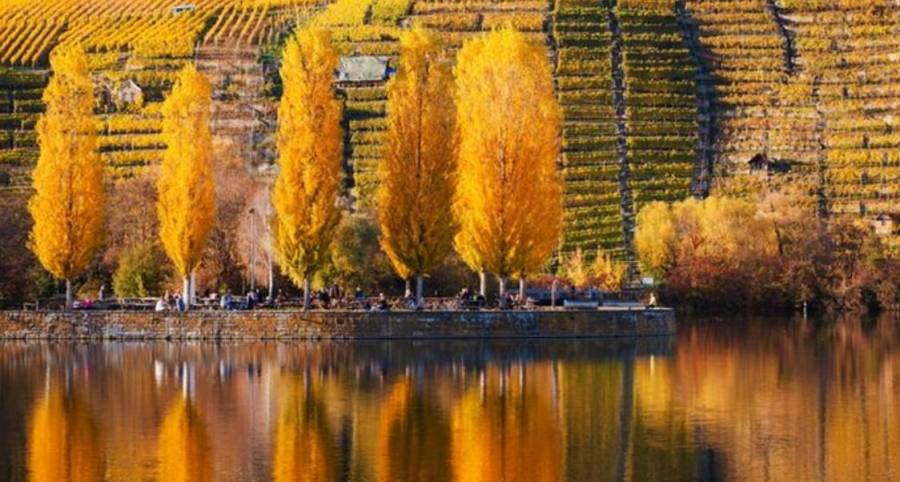 انخفاض الحرارة اليوم واجواء خريفية لثلاثة ايام