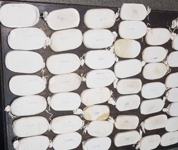 القبض على 5 مروجي مخدرات بحوزة احدهم 20 كف حشيش