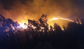 لبنان تحترق!