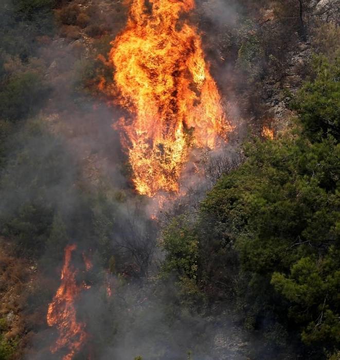 جلالة القائد الأعلى يوجه بالمساعدة لاخماد الحرائق في لبنان