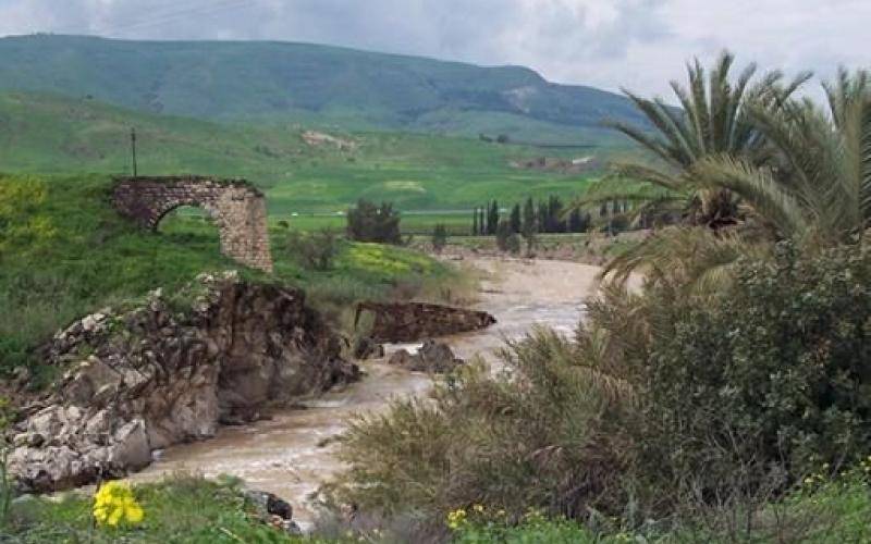 غنيمات: الموافقة على تمديد تأجير الغمر والباقورة غير صحيح