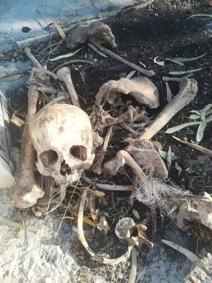 مقبرةتل أربد تتعرض لاعمال تخريب