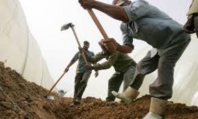 ضبط (116) عاملا وافدا مخالفا للقانون