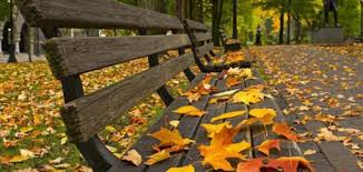 طقس خريفي لطيف في أغلب المناطق ليوم الاثنين