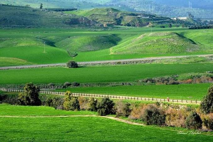 هاشتاغ #الباقورة_والغمر يتصدر الأردن وفرح شعبي غامر