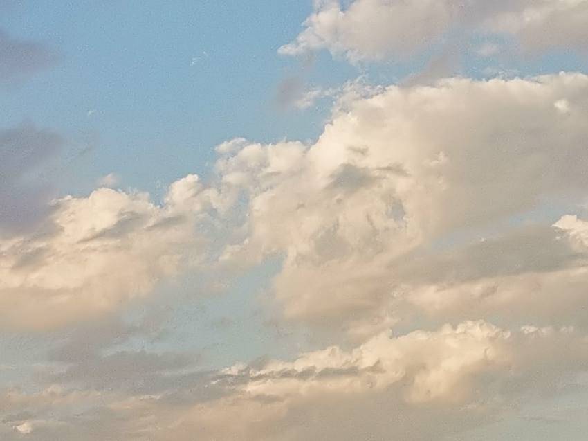 الاثنين .. رياح شرقية وفرصة لزخات من الأمطار