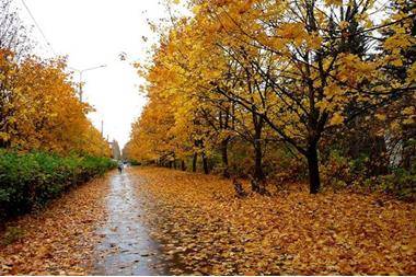 أجواء غير مُستقرّة اليوم الخميس