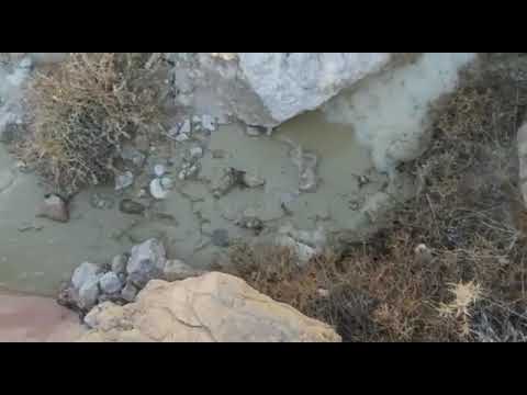 كارثة بيئية تهدد اهم المعالم الطبيعية في الاردن (فيديو)