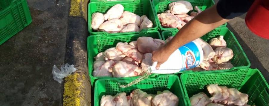 سلطة العقبة تغلق مخبزا وتتلف خمسة اطنان من المواد الغذائية غير الصالحة للاستهلاك البشري