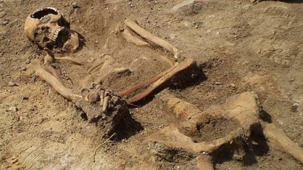 راعي أغنام يعثر على بقايا عظام انسان بمنطقة خالية في لواء الجيزة