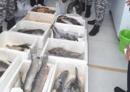 عاجل : الصحة تغلق مسمكة ومحل حلويات في الأغوار الشمالية لمخالفتها الشروط الصحية