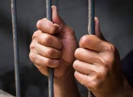 الحبس لمُشتكى عليهم بحيازة سلاح غير مرخص وإطلاق عيارات نارية