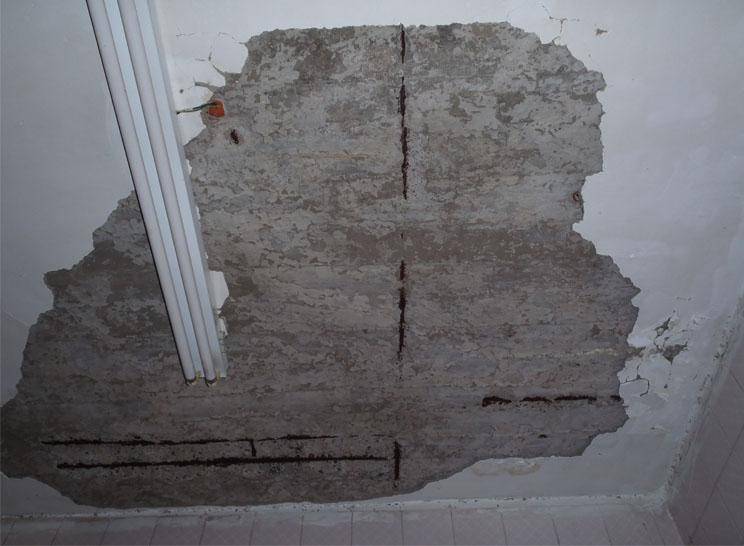 اربد .. العناية الالهية تحول دون وقوع كارثة عقب سقوط قصارة على رأس طالب