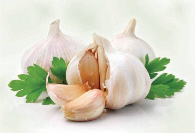 تقرير ديوان المحاسبة يكشف تفاصيل “شحنة الثوم الفاسدة”