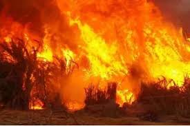 الدفاع المدني يخمد حريق ساحة خارجية في الموقر