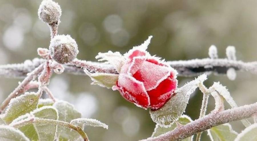 الارصاد تحذر من الانزلاق وتشكل الصقيع