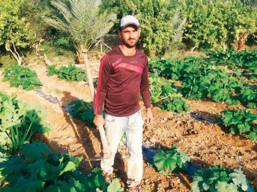 الباكستانيون في الأغوار  رغم الاستقرار... تفاصيل