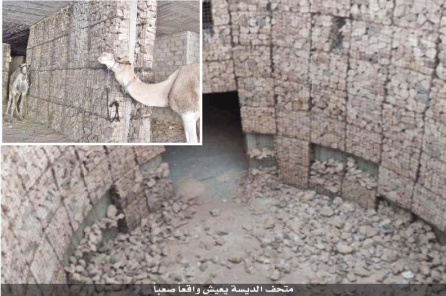 معلم سياحي يتحول الى مربط للحيوانات