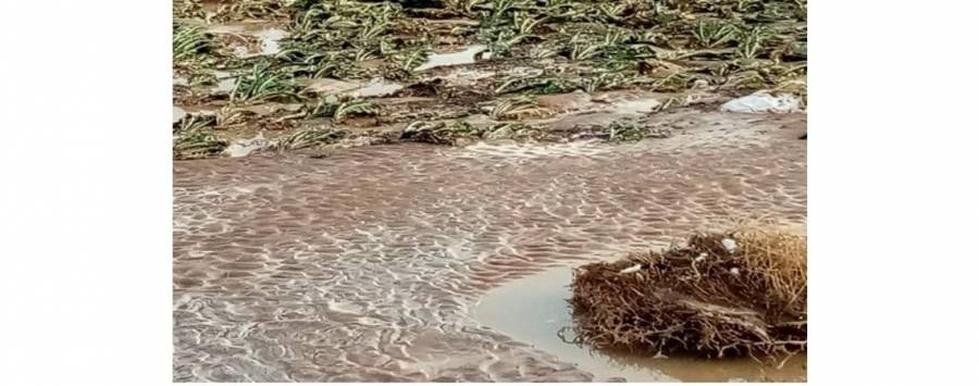 السيول تفقر الازرق وتمسح مزارعها عن الوجود