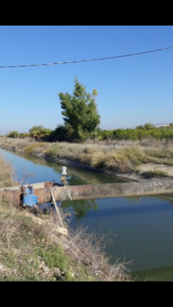 سلطة وادي الاردن تدعو المزارعين لاتخاذ الاحتياطات اللازمة للتعامل مع المنخفض المتوقع