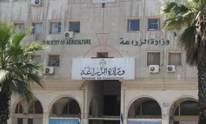 “الزراعة” توضح حقيقة احتكار استيراد المواشي لشركة واحدة .. تفاصيل