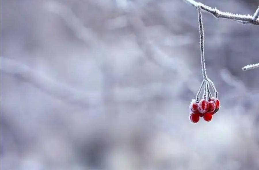 تتأثر المملكة بكتلة هوائية باردة جدا... تفاصيل