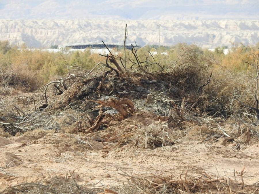 محمية فيفا .. “الزراعة” لم توقف التجريف رغم علمها به