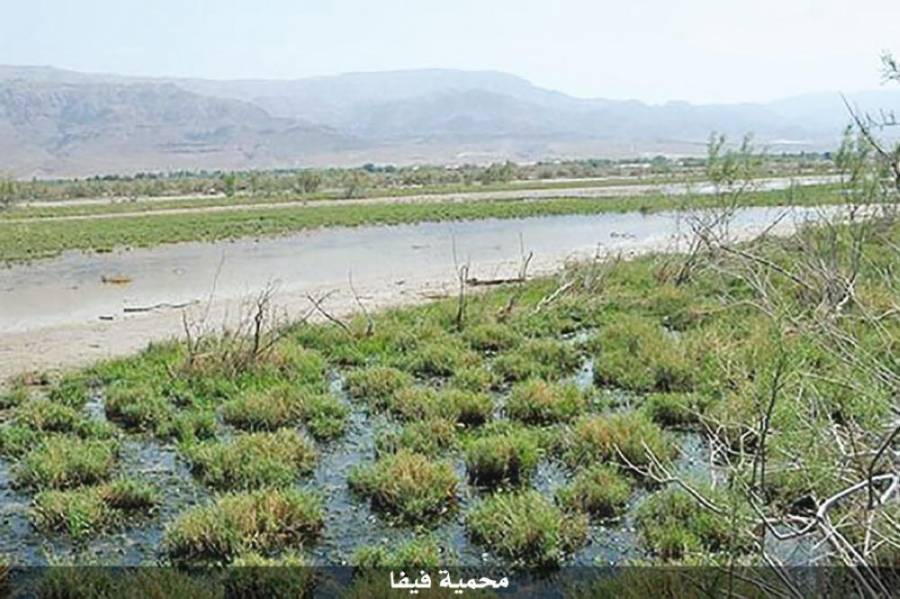 توقف التجريف داخل (محمية فيفا) لأهميتها البيئية والتنموية