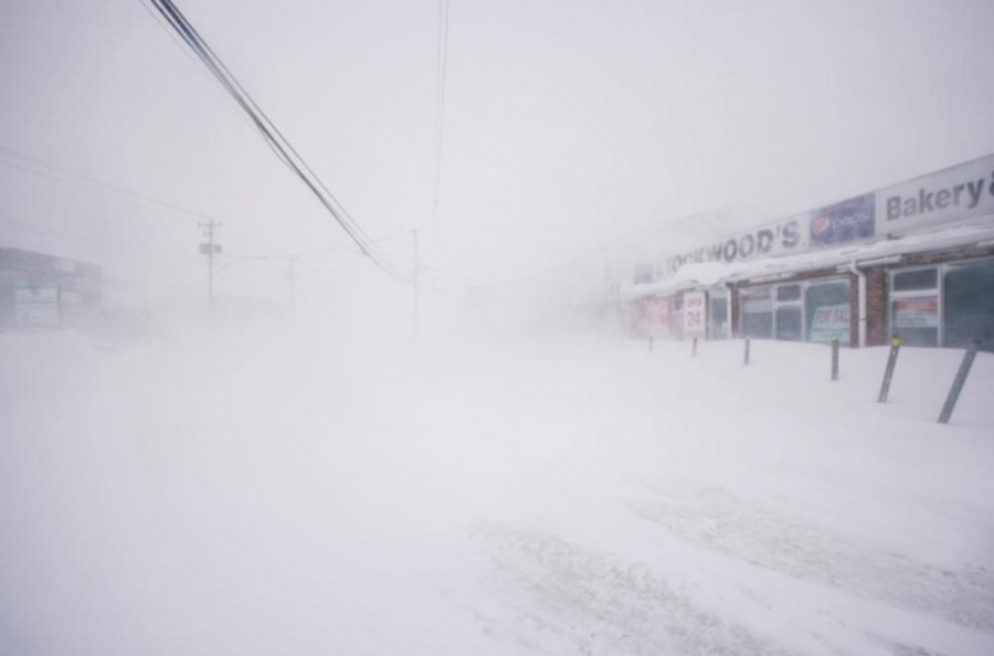 عاصفة ثلجية تغلق المطار والشركات في نيوفاوندلاند