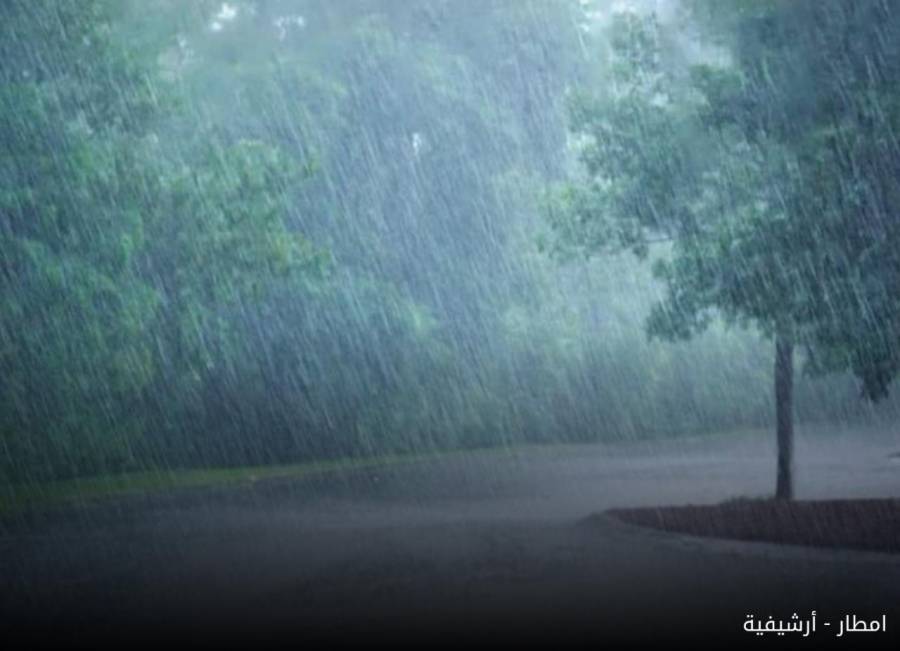 أجواء باردة وغائمة وهطول الأمطار بين الحين والأخر في شمال ووسط المملكة