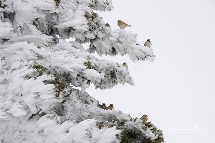 الأرصاد الجوية تحذر الموطنيين هذه الليلة