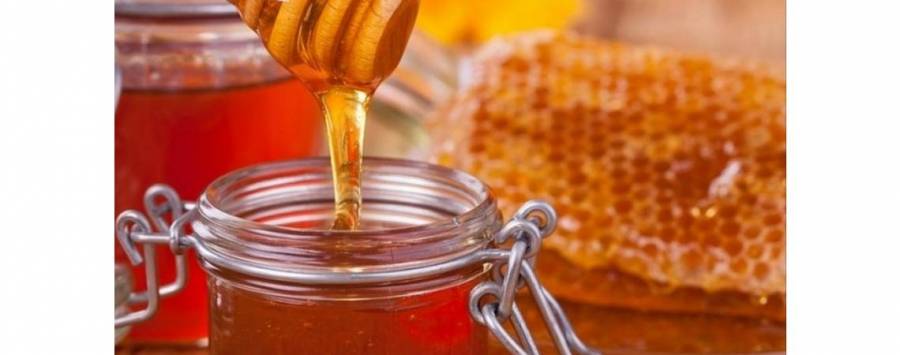 الاردن ينتج 340 طن عسل العام الماضي