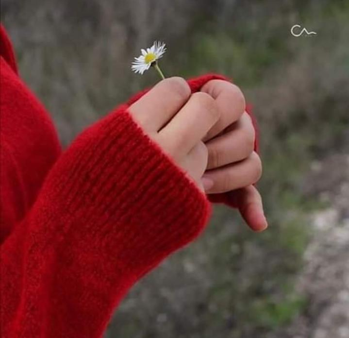 الحالة الجوية المتوقعة ليوم الاربعاء..