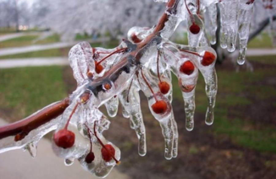 حدوث الانجماد خلال ساعات الليل المتأخرة في أغلب المناطق