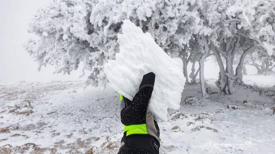 انخفاض درجات الحرارة الى ما دون الصفر المئوي هذا الليله
