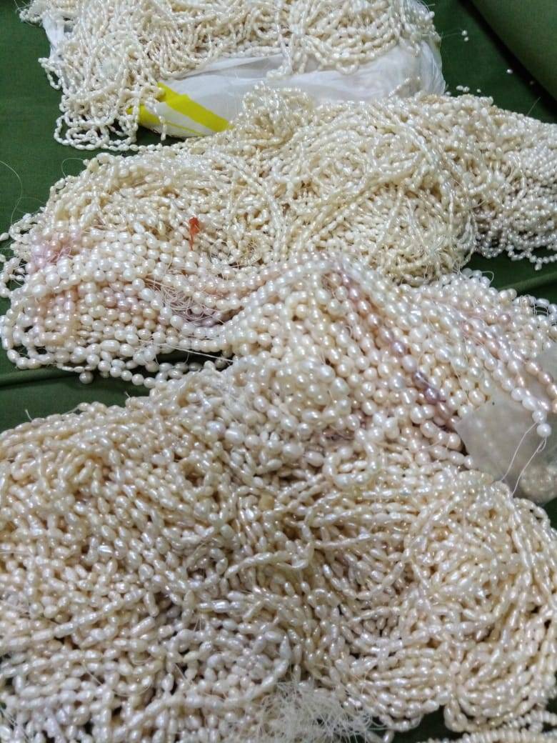 الجمارك تحبط تهريب (12) كف حشيش في منطقة الجفر